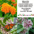 Perennial Milkweed Seeds Mix for Monarch Butterflies, Non-GMO, Orange Variety, 100 Seeds, Asclepias spp.