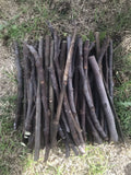 Fig Tree Cuttings - 6 Unrooted Organic Ficus carica Stems for Propagation