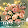 Lisianthus Seeds Coral Momento Non-GMO Heirloom Eustoma grandiflorum for Garden and Cut Flowers