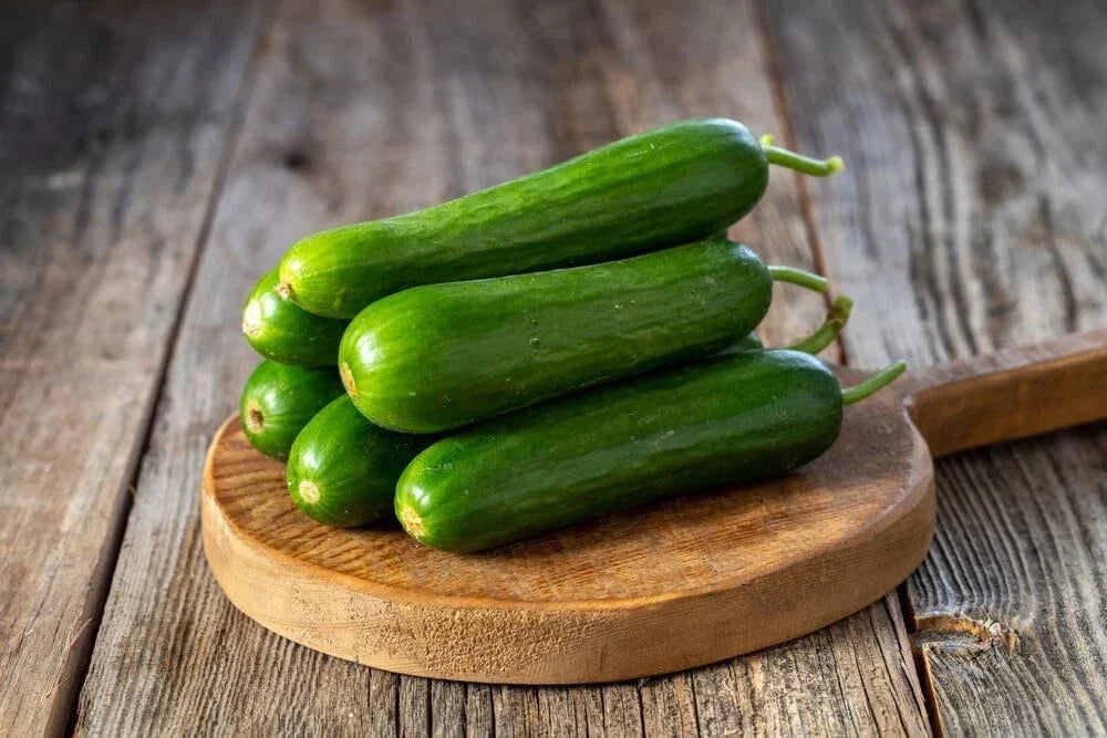 Mini Cucumber Seeds, Picolino Variety, 10 Seeds, Compact Bush, Cucumis sativus, Garden Vegetable, Container Gardening