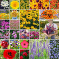 Northeast Wildflower Mixed Seeds - 1/4 lb, 120,000+ Native Pollinator Friendly Seeds