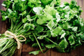 Coriander Seeds for Microgreens, Heirloom Cilantro, Chinese Parsley, Bulk Salad Herbs, Coriandrum sativum