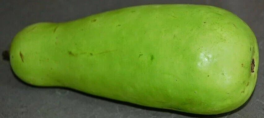 Calabash Gourd Seeds - Fresh Lagenaria siceraria for Planting & Crafts - Vining Annual with Large Gourds