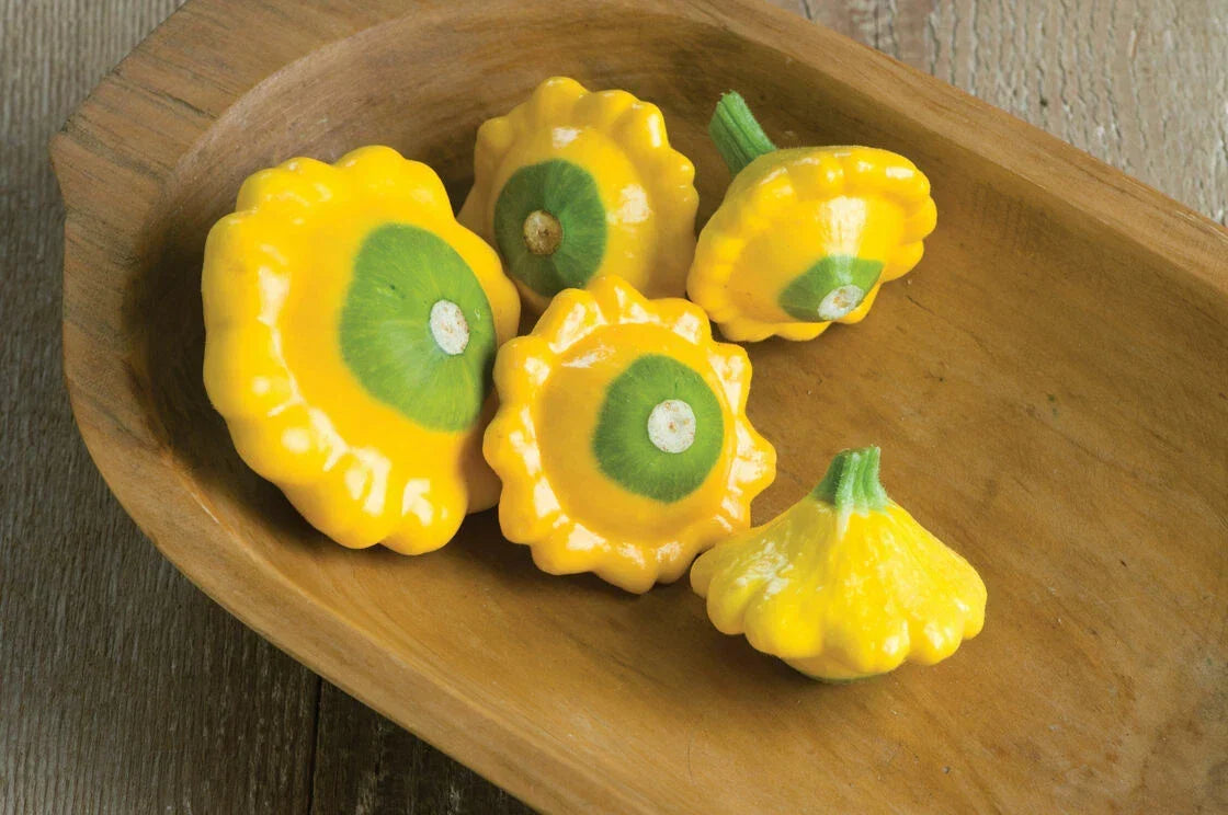 Y-Star Patty Pan Squash Seeds - Heirloom Cucurbita pepo, Compact Bush-Type, 10 Pack