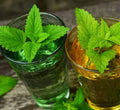 Lemon Balm Seeds 500 Melissa officinalis Organic Herb Garden Planting for Tea & Culinary