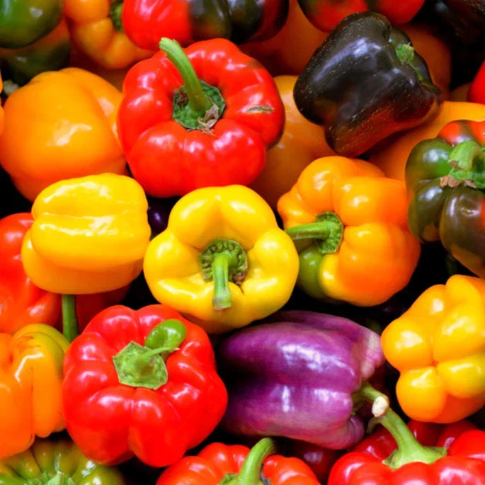 Rainbow Mix Bell Pepper Seeds - Heirloom Capsicum annuum, Red, Green, Orange, Vegetable Seeds for Garden, Container, and Raised Bed Planting