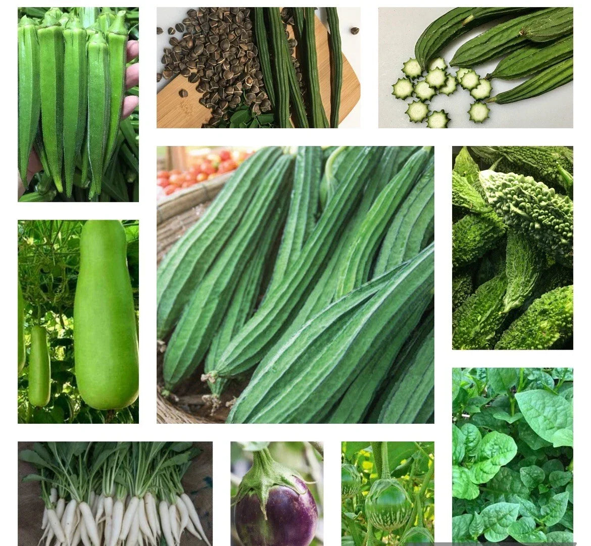 Asian Vegetable Seeds Bundle - 10 Heirloom Non-GMO Seed Packets for Home Garden, Includes Bok Choy, Daikon, Eggplant, Snow Peas, Thai Basil