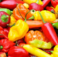 Hot Pepper Seeds Mix - 50+ Varieties including Jalapeno, Habanero, Cayenne, Anaheim, Cherry, Santa Fe - Capsicum annuum Seeds