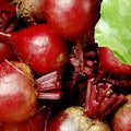 Dark Red Detroit Beet Seeds, Heirloom Beta vulgaris, Non-GMO Vegetable Seeds for Planting, Root Crop, Garden or Container