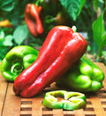 Sweet Big Bertha Pepper Seeds – 1000 Count, Elongated Red Capsicum annuum, Thick-Walled Bell Peppers for Stuffed Peppers