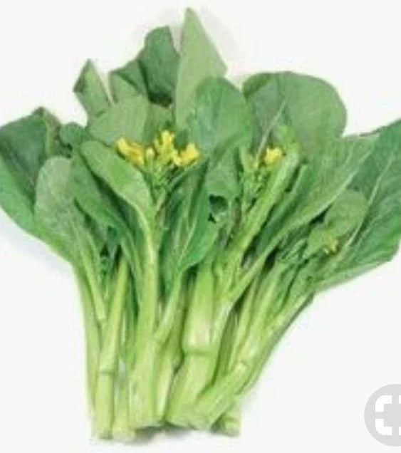 Choy Sum Seeds 250+ Count Organic Non-GMO Brassica rapa var. parachinensis for Asian Greens, Stir-Fries, Salads