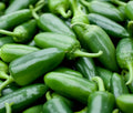 Jalapeno Pepper Seeds 50+ Capsicum annuum Spicy Mexican Culinary Salsa Seeds for Garden or Container