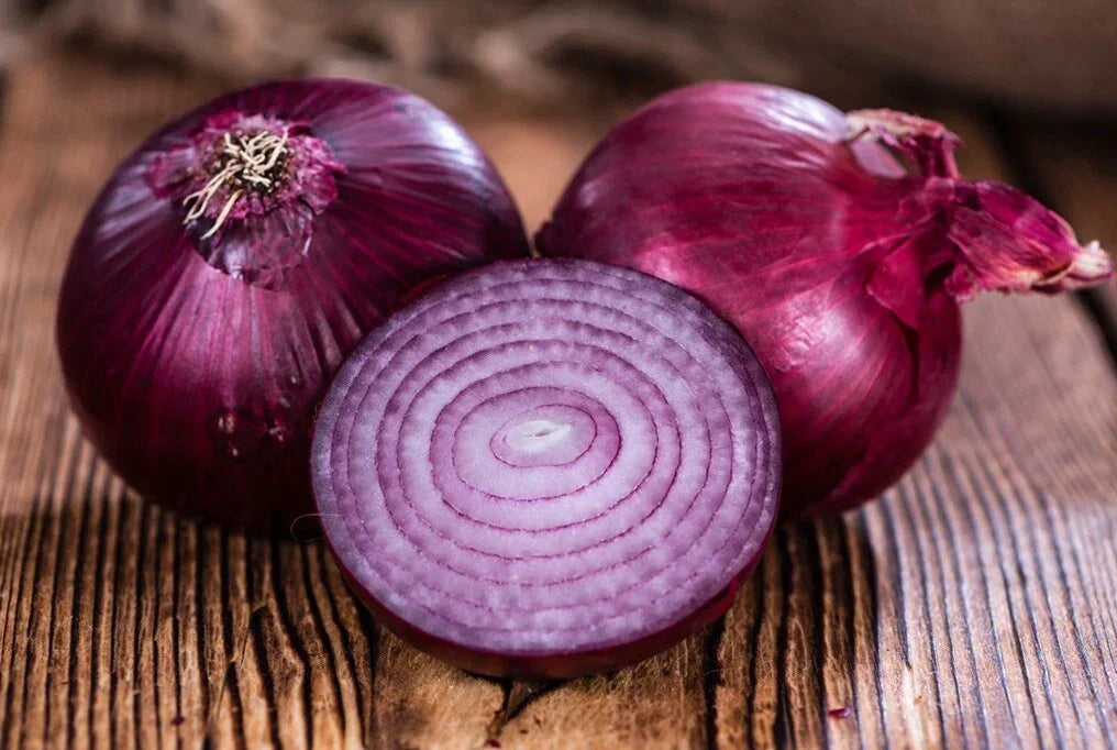 Red Creole Onion Seeds - Organic Heirloom Allium cepa Vegetable Seeds for Home Garden Cultivation