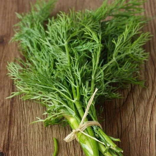 Dill Seeds Bouquet Non-GMO Heirloom Culinary Herb Seeds Anethum graveolens, Fragrant, Easy to Grow, Full Sun, Indoor & Outdoor