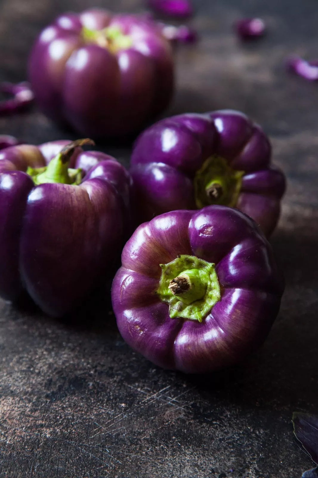 Purple Beauty Pepper Seeds - 100+ Capsicum annuum for Container Gardening, Sweet Edible Peppers, Compact Planting