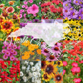 Wildflower Seed Mix 1 lb Bulk Native North Carolina Wildflowers Cover 2000 sq ft, Bee & Butterfly Attracting, Non-GMO