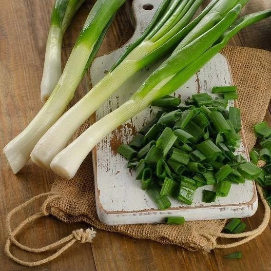 Tokyo Long Bunching Onion Seeds - Non-GMO Allium Fistulosum, Heirloom Seeds for Indoor & Outdoor Gardening