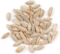 Rye Berries - 2 Pounds Whole Grain Secale cereale High Fiber Iron Nutrient-Rich Grain for Baking & Cooking