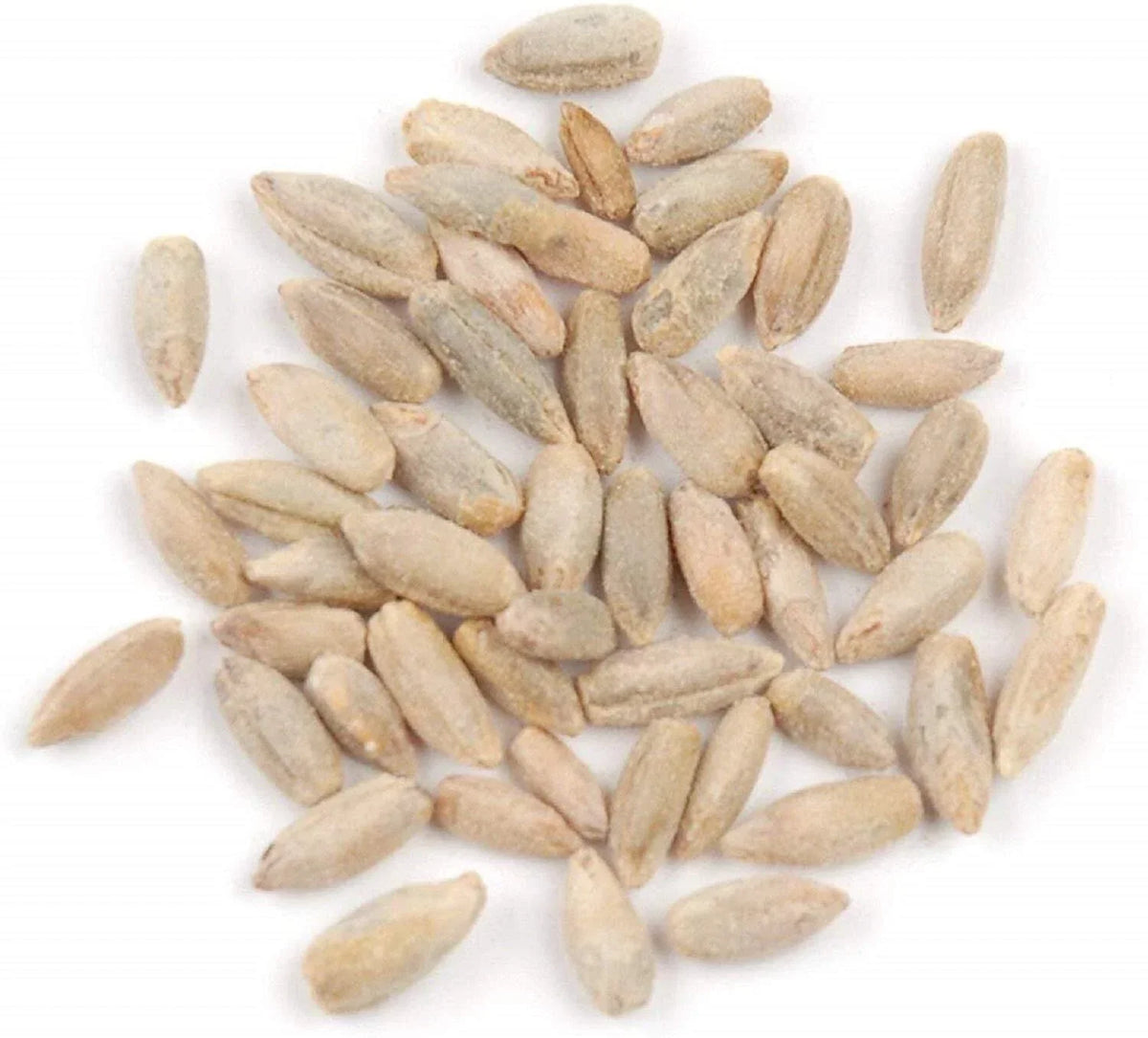 Rye Berries - 2 Pounds Whole Grain Secale cereale High Fiber Iron Nutrient-Rich Grain for Baking & Cooking
