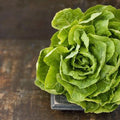 Butter Crunch Lettuce Seeds – Organic Non-GMO Open Pollinated, Lactuca sativa, 600+ Seeds for Home Garden, Crisp Salad Lettuce