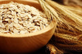 Organic Oat Seeds - Avena sativa, Non-GMO Heirloom, 200 Seeds for Gardening & Cover Crops