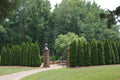 American Arborvitae Tree Seeds – Thuja Occidentalis for Privacy Hedges & Evergreen Landscaping – 150 Seeds