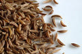 Caraway Seeds Pack of 2,000 | Non-GMO Herb Seeds for Growing Meridian Fennel & Persian Cumin | Culinary & Garden Use