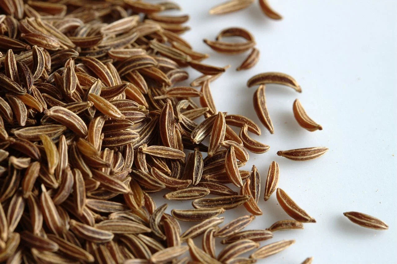 Caraway Seeds Pack of 2,000 | Non-GMO Herb Seeds for Growing Meridian Fennel & Persian Cumin | Culinary & Garden Use