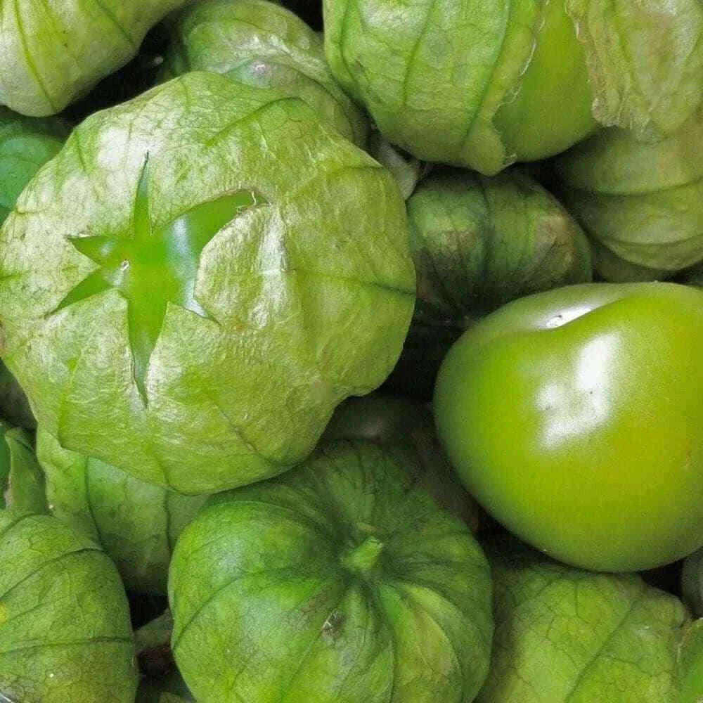 Tomatillo Seeds 50 Ct Heirloom Non-GMO Grande Rio Verde Physalis ixocarpa Vegetable Seeds