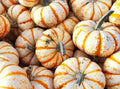 Sweet Dumpling Squash Seeds – Organic Heirloom Cucurbita pepo, Vining, for Garden Planting, Pack of 25+ Seeds