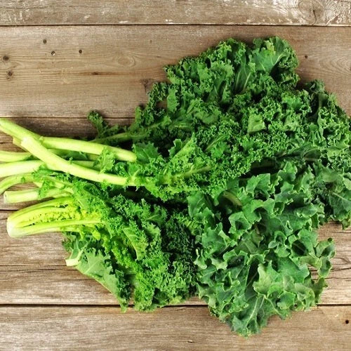 Dwarf Siberian Kale Seeds - 1,000 Non-GMO Heirloom Seeds for Gardening - Brassica oleracea var. sabellica