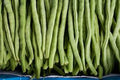 Bean Seeds Mix Collection - Heirloom Varieties Garden Seed Set for Home Growing - Non-GMO, Organic, Climbing & Bush Beans