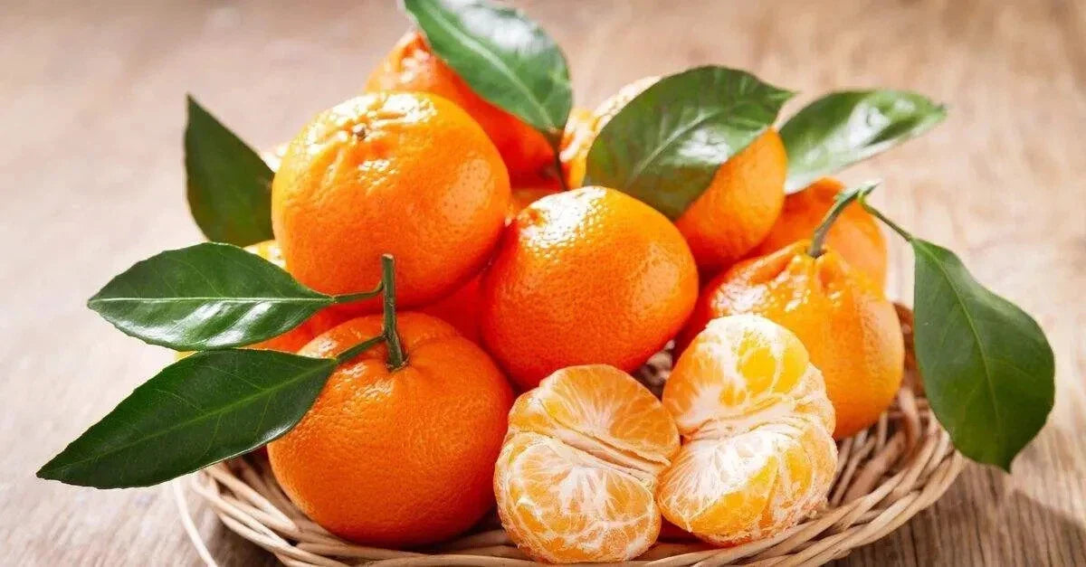 Mandarin Seeds Pack - Citrus reticulata - Grow Your Own Sweet Fruit - 12 Seeds for Gardening and Pot Cultivation
