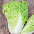 Non-GMO Heirloom Michihili Cabbage Seeds - Organic Brassica rapa for Home Gardening, 1000 Pack