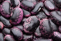 Scarlet Emperor Runner Bean Seeds - Heirloom Climbing Vine with Vibrant Red Flowers, Phaseolus coccineus, 10 Seeds