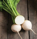 White Albino Beet Seeds - Organic NON-GMO Heirloom Vegetable Seeds for Home Garden, Beta vulgaris var. alba, 250+ Seeds