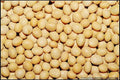 White Soybean Seeds - Pack of 22 - Glycine max - Non-GMO, High Germination, Full Sun, Bushy Annual Legume for Gardening