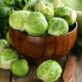 Long Island Improved Brussels Sprouts Seeds - 1000 Non-GMO Heirloom Brassica oleracea var. gemmifera for Home Garden & Vegetable Farming