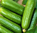 Cucumber Seeds 50 Count Non-GMO Ashley Long Cucumis sativus for Home Garden, Salad, Pickling