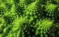 Romanesco Broccoli Seeds - 300+ Exotic Vegetable Seeds Brassica oleracea var. botrytis