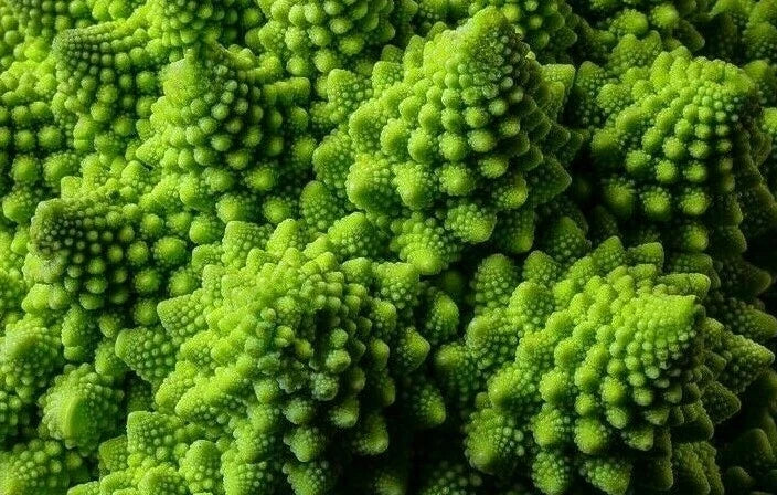 Romanesco Broccoli Seeds - 300+ Exotic Vegetable Seeds Brassica oleracea var. botrytis