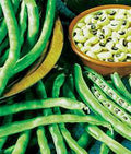 California Black Eye Peas Seeds - Heirloom, Non-GMO, Vigna unguiculata, Pack of 100 for Gardening and Planting