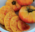 Gold Medal Tomato Seeds - Non-GMO Heirloom Solanum lycopersicum, 15 Seeds for Large, Golden-Yellow Tomatoes
