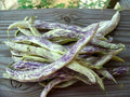 Dragon's Tongue Wax Bush Beans Seeds – Heirloom, Large Cream & Purple Pods, Non-GMO, Phaseolus vulgaris