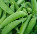 Organic Sugar Snap Pea Seeds - Pisum sativum var. macrocarpon, Non-GMO, Climbing, 50 Seeds for Home Garden & Container Growing