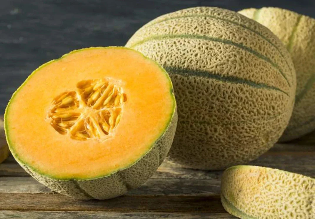 Organic Honey Rock Cantaloupe Seeds – Heirloom, Non-GMO, Cucumis melo, 200+ Seeds for Home Garden & Urban Farming