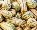 Delicata Squash Seeds 20 Ct – Winter Vegetable Garden, Sweet Potato Squash, Cucurbita pepo