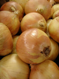 Yellow Granex Onion Seeds – Allium cepa, Sweet Onion Variety, 300 Seeds for Home Gardening and Cooking