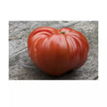 German Johnson Giant Tomato Seeds - Non-GMO Heirloom, Organic, Solanum lycopersicum, Large Juicy Tomatoes, Seed Packet