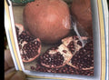 Pomegranate Cuttings - Kashmir Blend - 5 Healthy Plant Clippings - Punica granatum - Fruit-Bearing, Garden, Container Planting